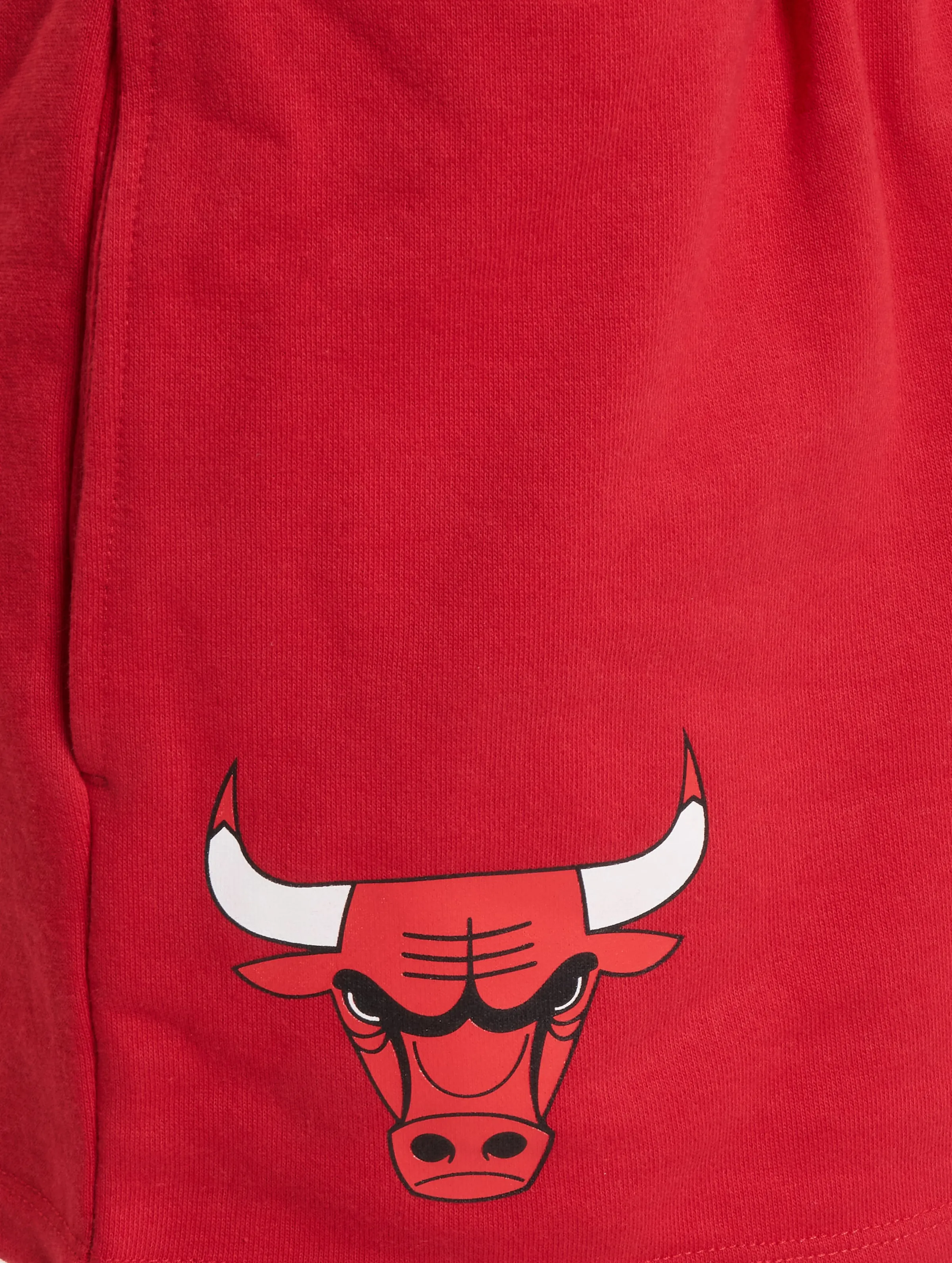 New Era NBA Team Logo Chicago Bulls